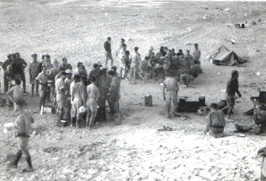 personnel 1941 113 squadron western desert