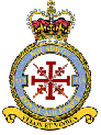 113 squadron Crest