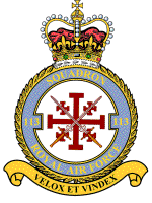 113 squadron Crest