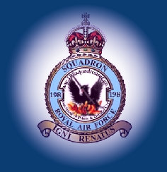 198 squadron logo